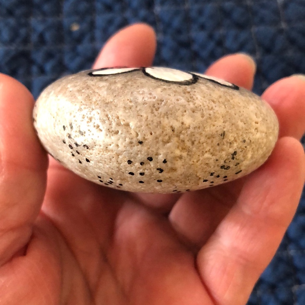 HAND PAINTED LADYBUG  DAISY ROCK - Picture 5 of 7